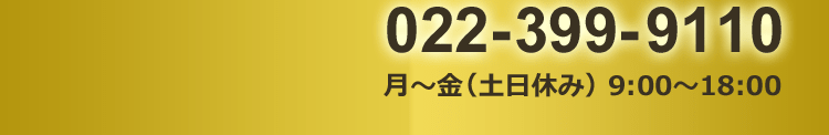 022-399-9110