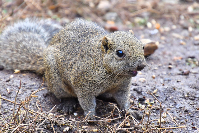 【町田市の観光スポット】エコカーレンタカー町田